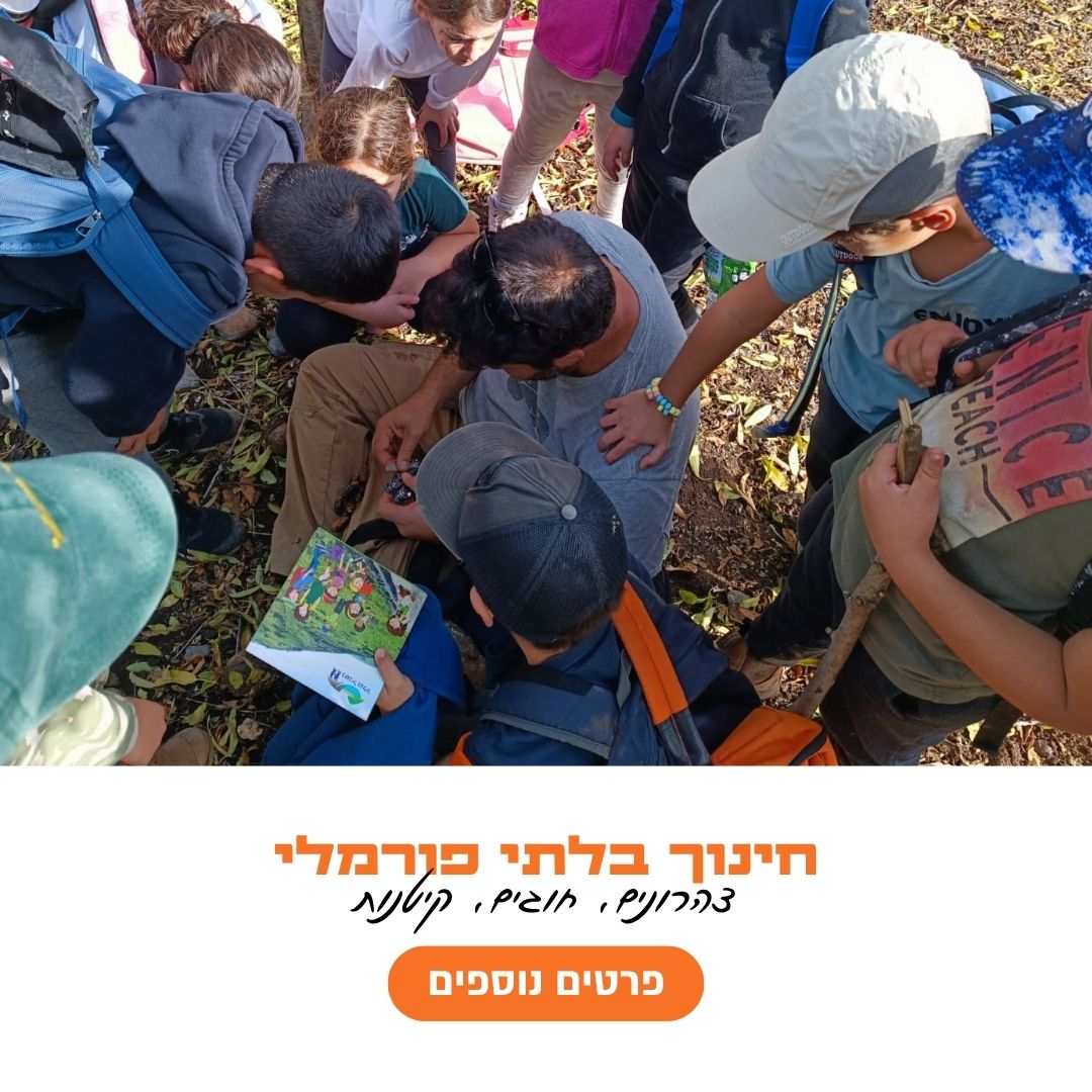 חינוך בלתי פורמלי (צהרונים, חוגים, קיטנות)