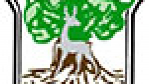 logo.jpg