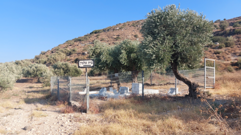 תמונה1.png