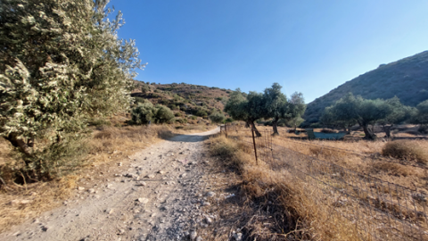 תמונה6.png