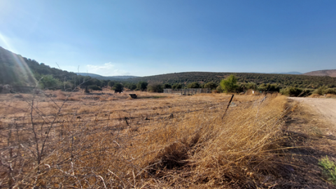 תמונה7.png