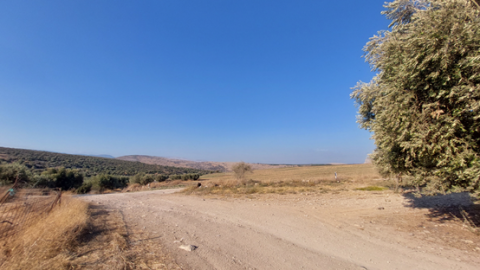 תמונה8.png