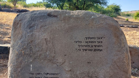 תמונה11.png