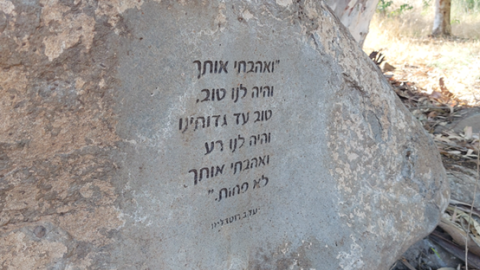 תמונה12.png