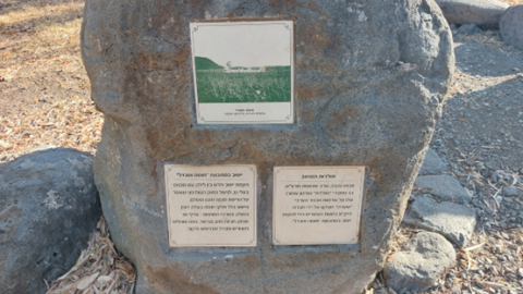 תמונה14.png
