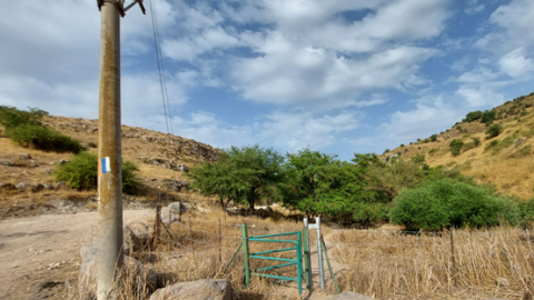 תמונה24.png