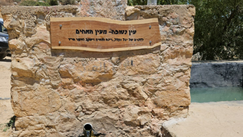 תמונה33.png
