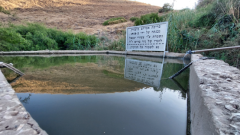תמונה35.png