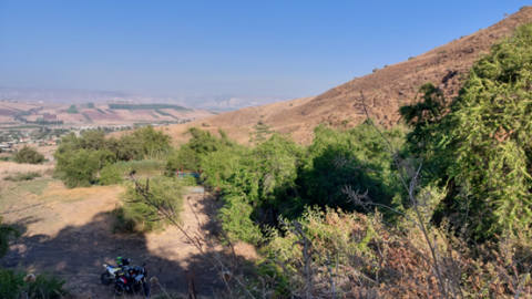 תמונה37.png