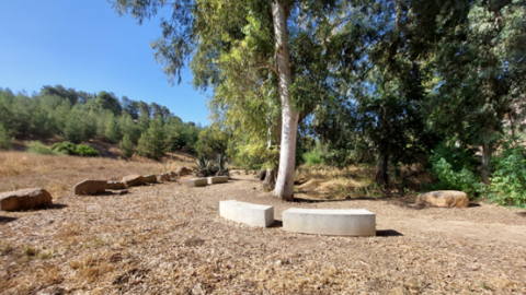 תמונה51.png