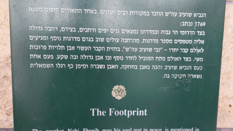 תמונה59.png