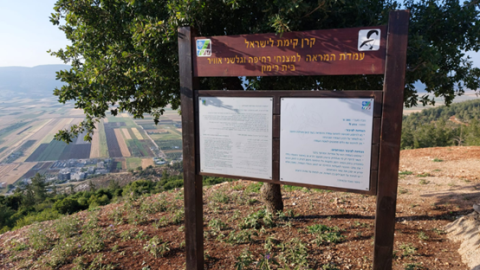 תמונה77.png