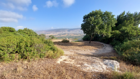 תמונה82.png