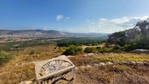 תמונה84.png