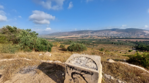 תמונה85.png