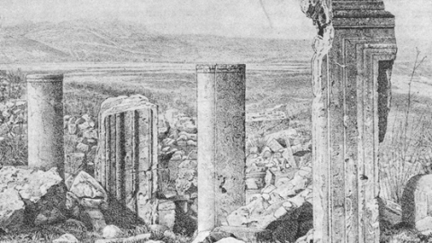 תמונה1.png