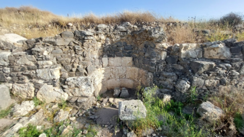 תמונה12.png