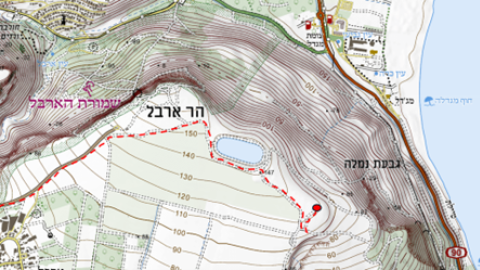 תמונה21.png