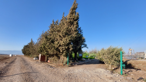 תמונה22.png
