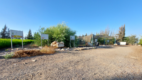 תמונה27.png