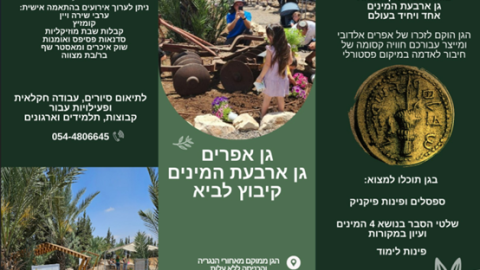 תמונה29.png