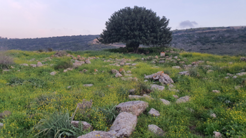 תמונה32.png