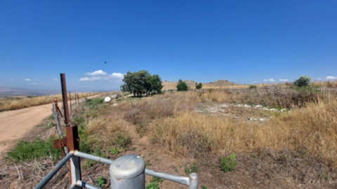 תמונה58.png