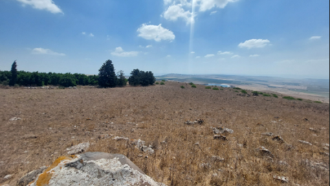 תמונה61.png