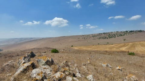 תמונה62.png
