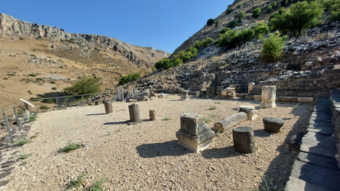 תמונה85.png