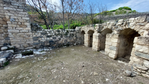 תמונה91.png