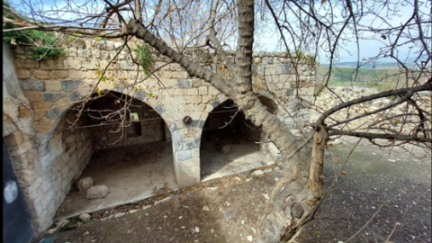 תמונה94.png
