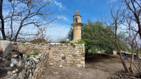 תמונה95.png