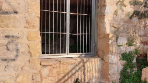 תמונה116.png