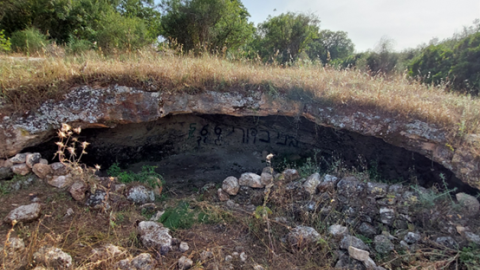 תמונה138.png