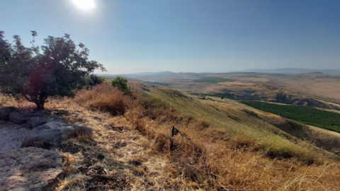 תמונה153.png