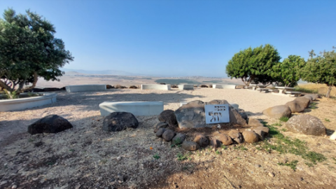 תמונה158.png